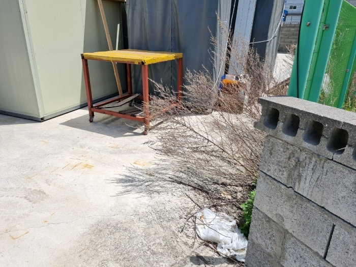 본건(6) 전경