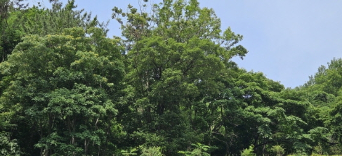 본건 전경