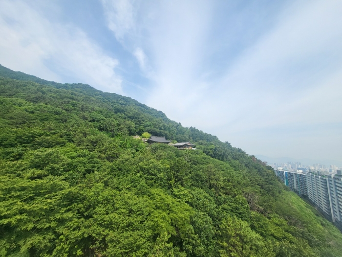 본건 남동측 인근