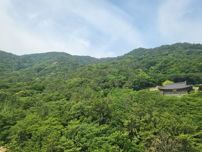 본건 동측 인근