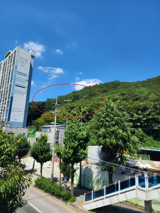 본건