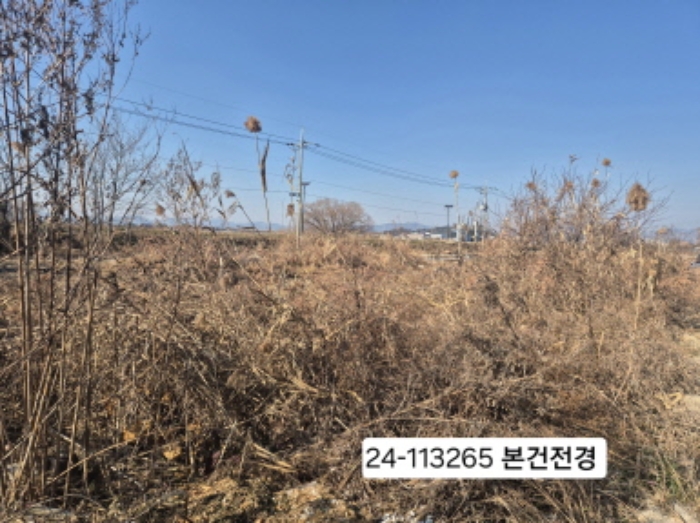일부 묵전인 상태