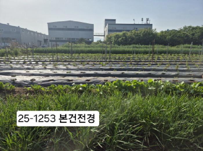 2025타경1253