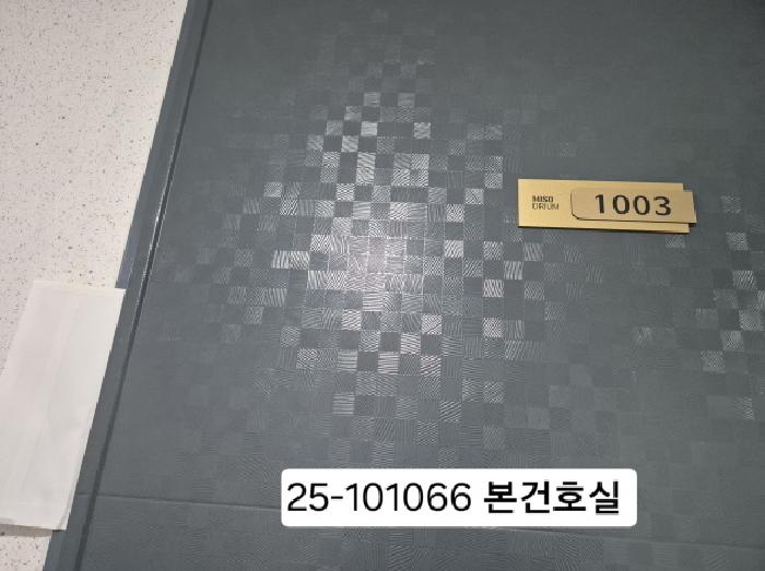 2025타경101066