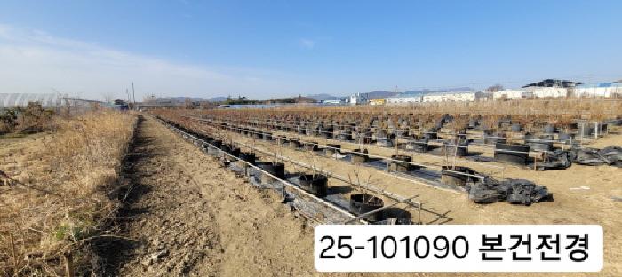 2025타경101090
