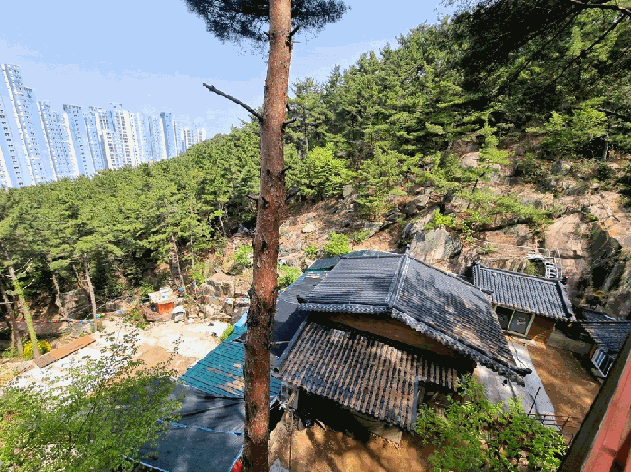 본건 전경 일부 (남→북) 본건체크