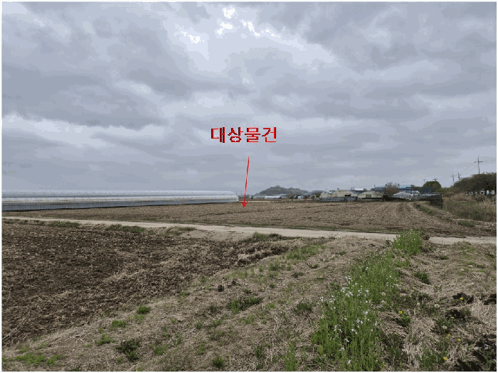 2025타경101294
