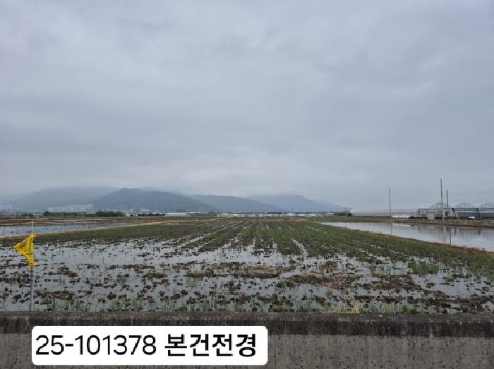 2025타경101378