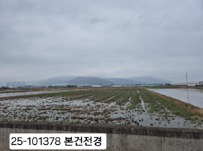 2025타경101378