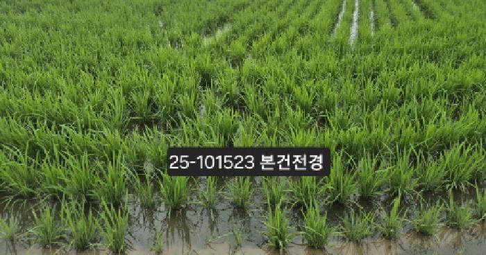 2025타경101523
