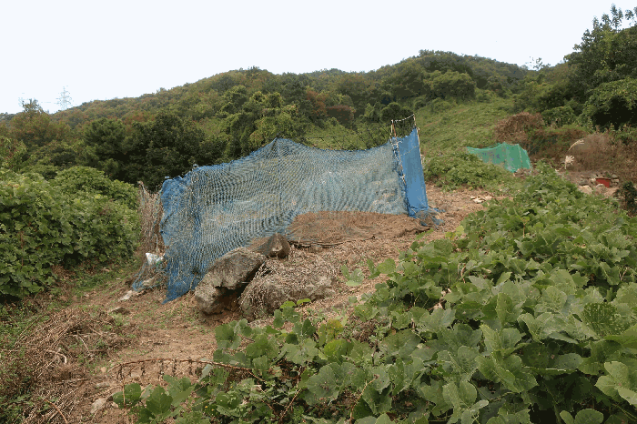 본건 전경(1)