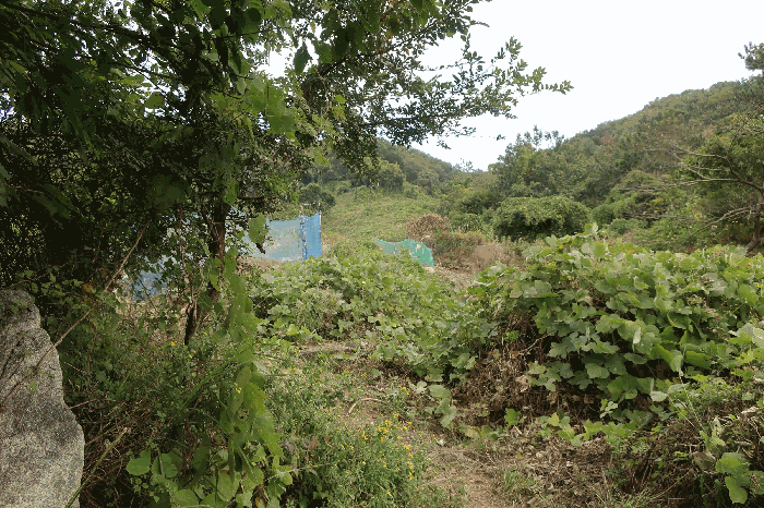 본건 및 주변 전경(2)