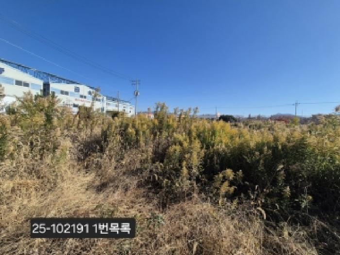 2025타경102191