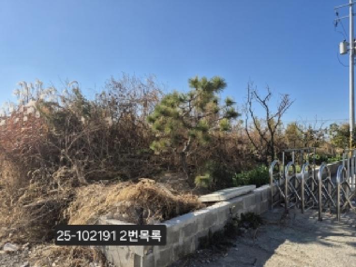 2025타경102191
