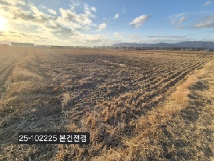 2025타경102225