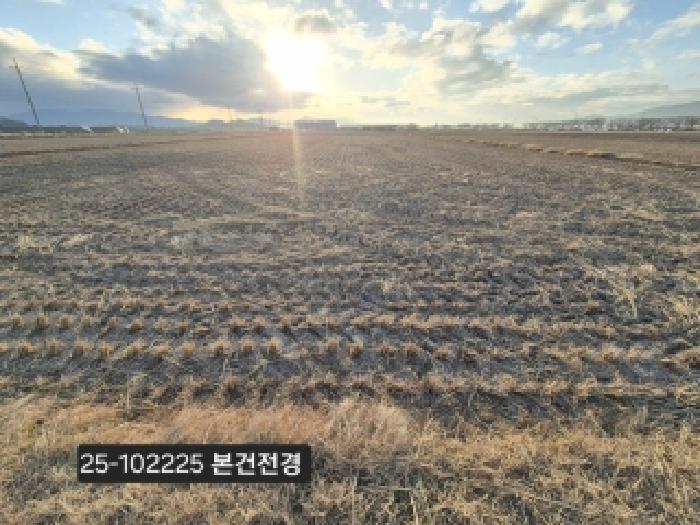 2025타경102225