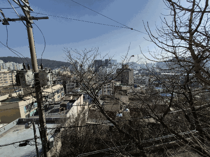 남측 주변