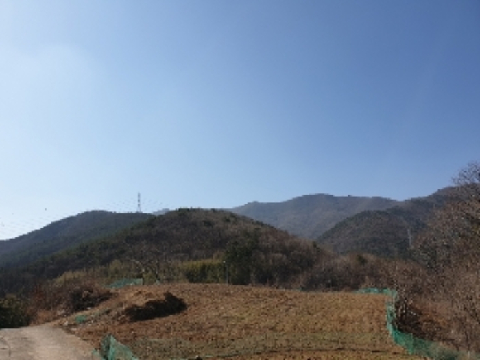 2021타경635