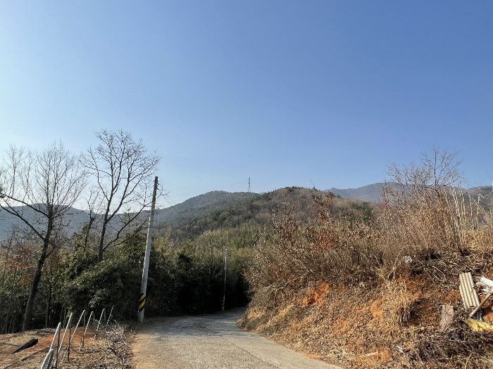 2021타경635