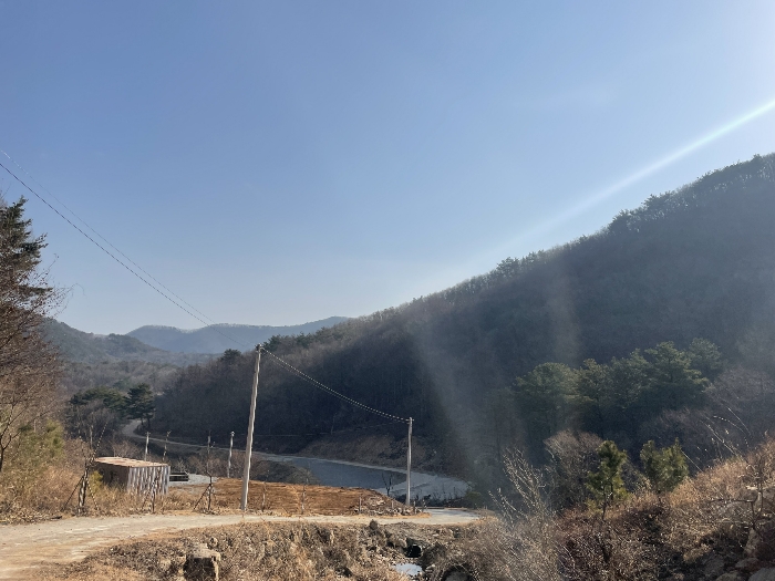 2021타경635