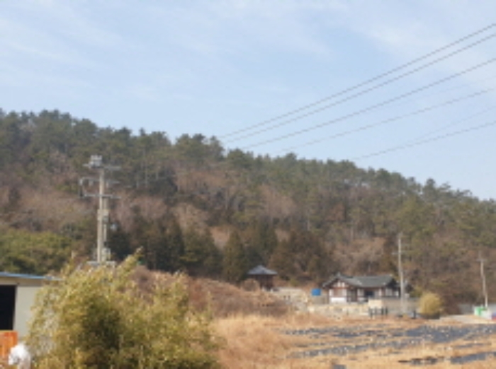 2022타경1123