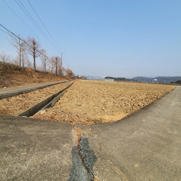 기호1 전경
