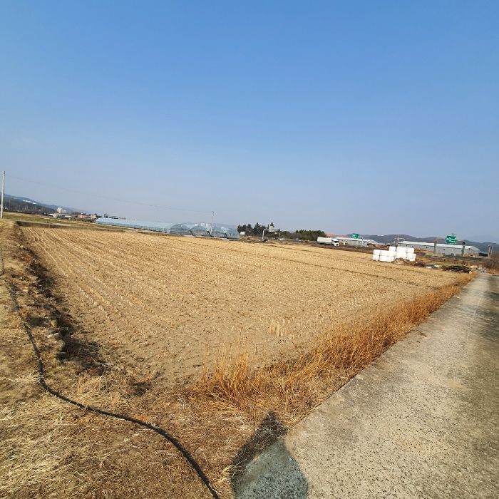 기호3 전경