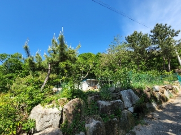 2022타경2713