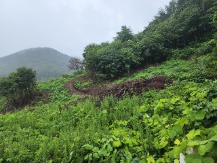 2022타경3488[1]