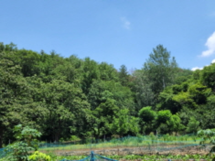 2022타경4238[2]