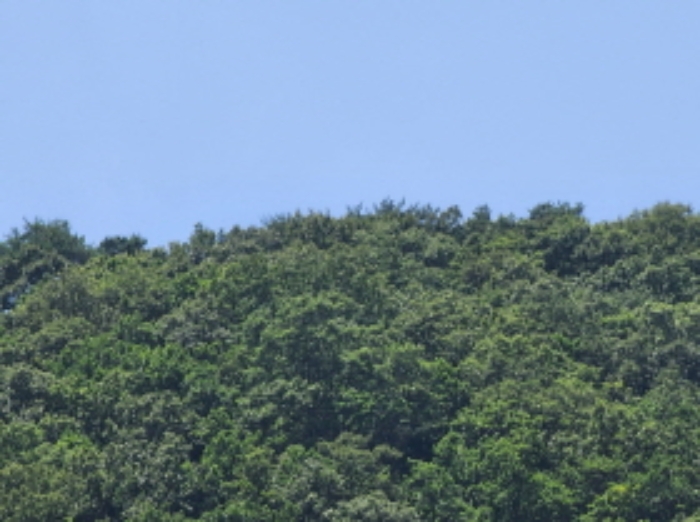 2022타경4238[2]