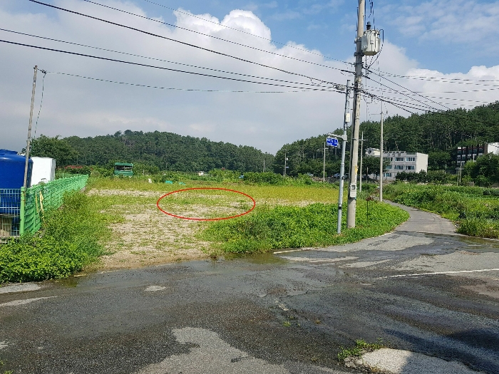 본건 전경(동측에서 촬영)