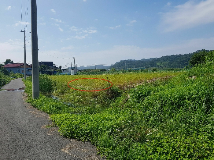 본건 전경(북서측에서 촬영)