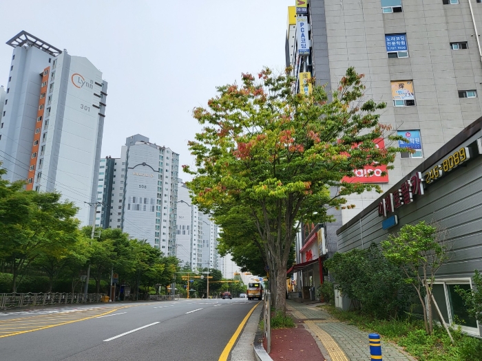 2022타경5507
