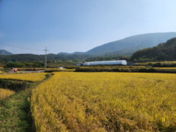 2022타경6081[4]