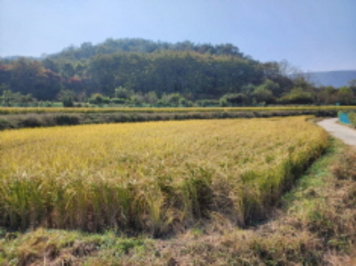 2022타경6081[4]