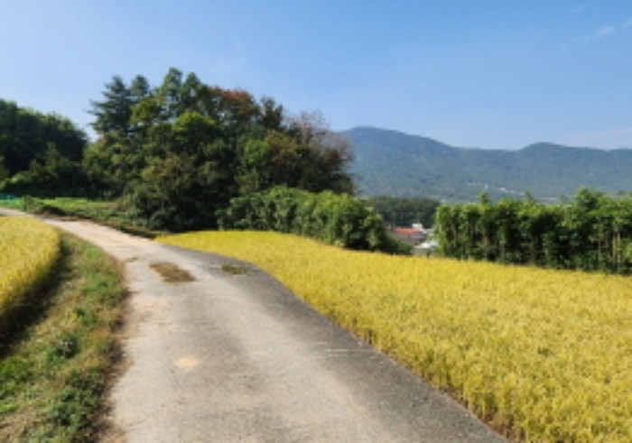 2022타경6081[4]