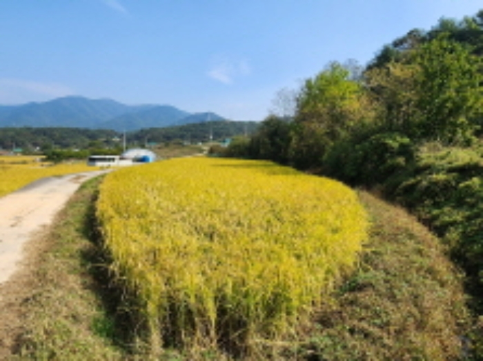 2022타경6081[4]