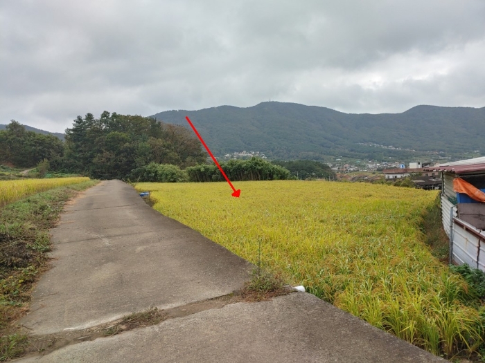 2022타경6081[4]