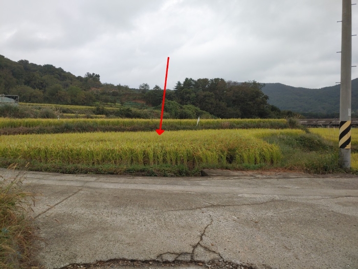 2022타경6081[4]