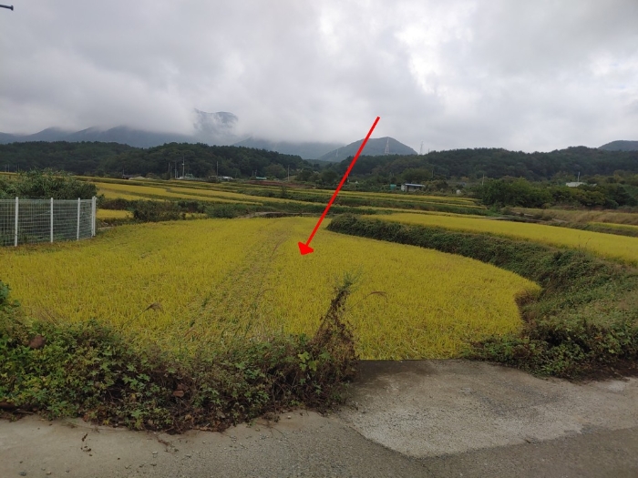 2022타경6081[4]