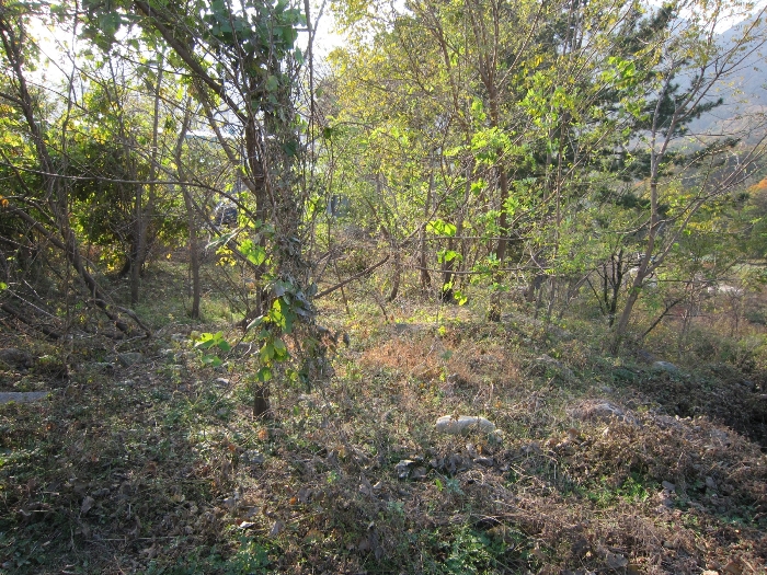 기호(1)전경(북동측 촬영)