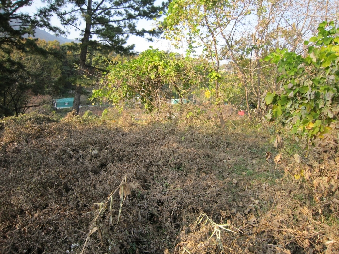 기호(2)전경(남동측 촬영)