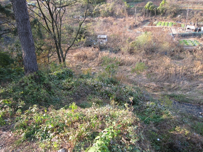 기호(3)전경(남동측 촬영)
