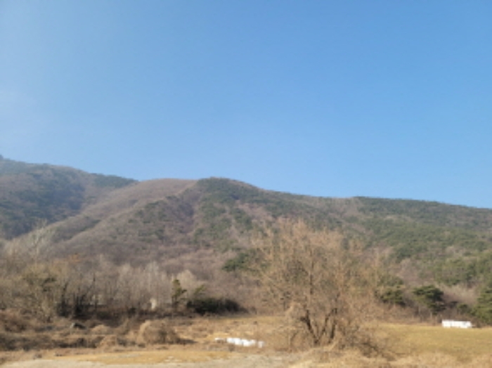 2022타경100785