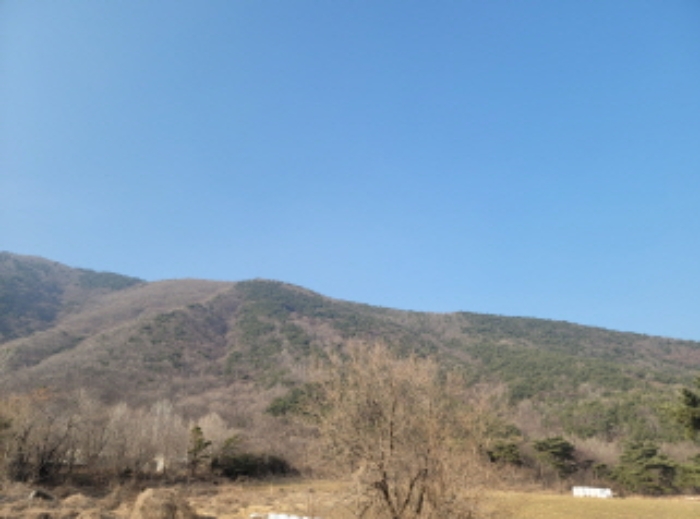 2022타경100785