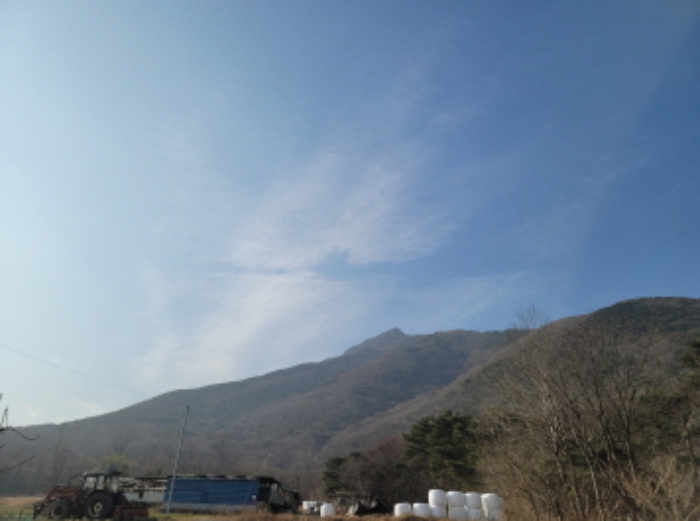 2022타경100785
