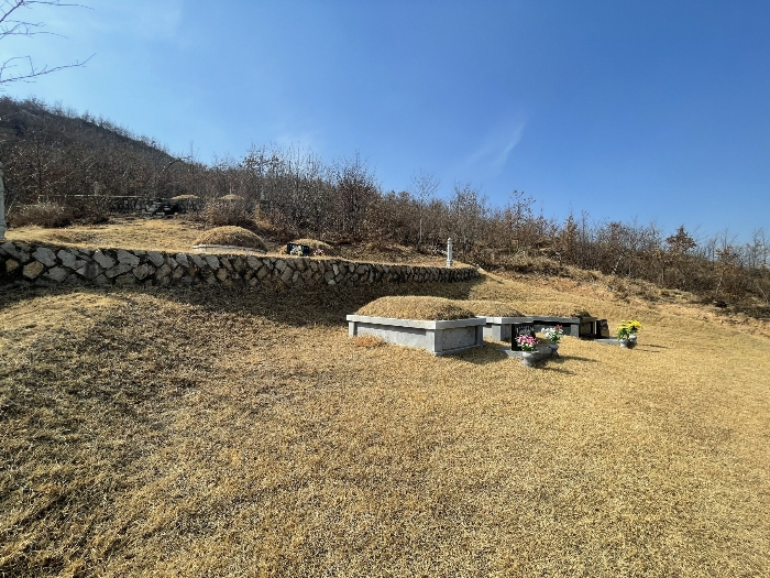 2022타경100785