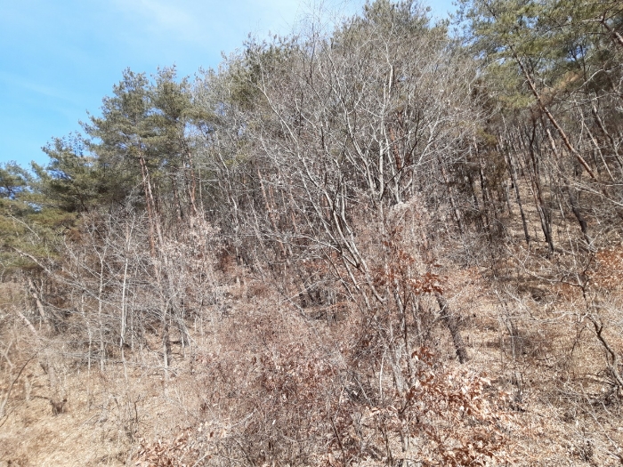 본건 전경