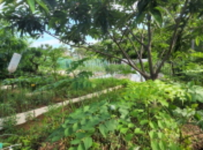 2022타경105247[5]